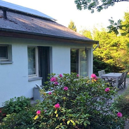 Villa Des Grues A Filly Houffalize Εξωτερικό φωτογραφία